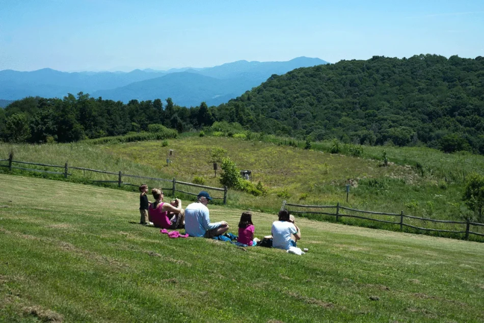 10 Best Hotels in Downtown Asheville: Explore the Heart of the City