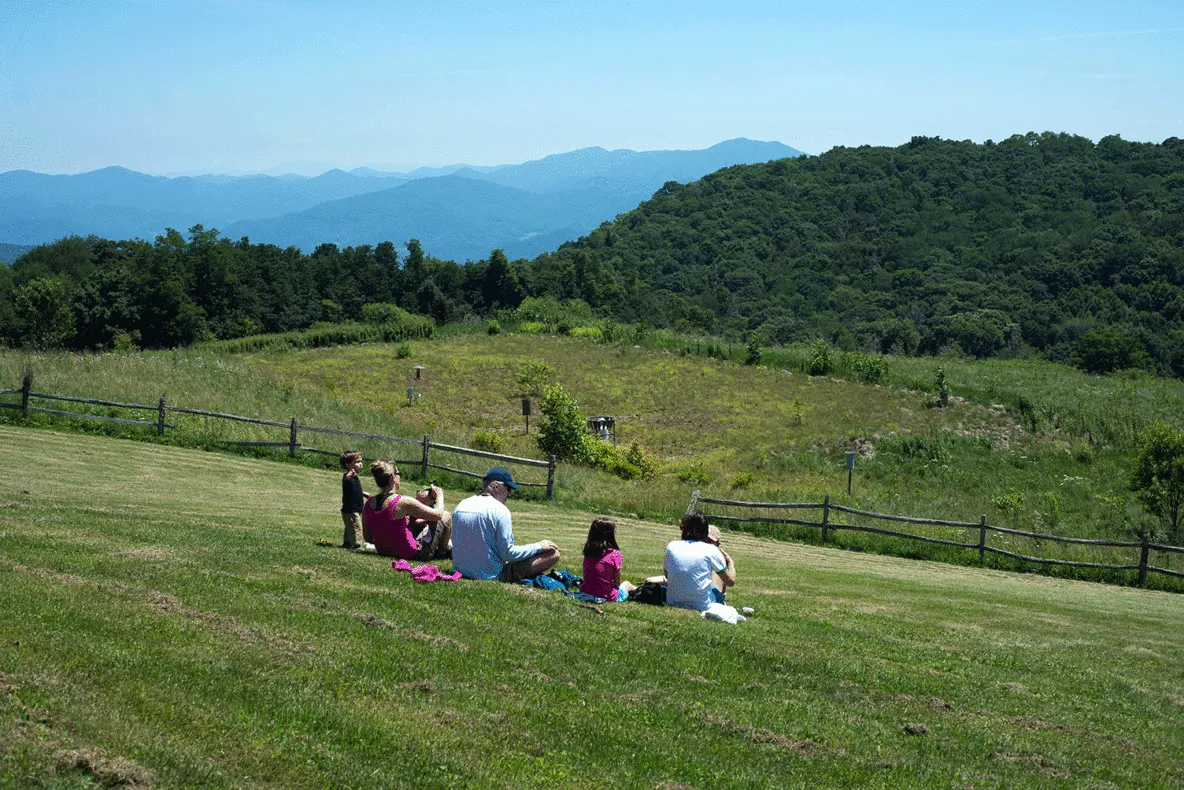 10 Best Hotels in Downtown Asheville: Explore the Heart of the City